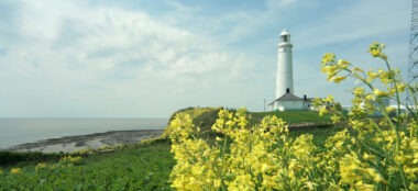 Nash Point Lighthouse Unique Wedding Venue Lighthouse 380X174