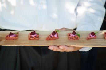 13 More Canapes At Alex And Havens Gay Wedding Long Island Gay Wedding Guide Image By Caroline Rochetta 1 5 345X230