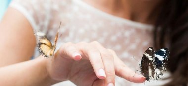 Ale And Eva Real Lesbian Wedding Butterflies Image Copyright Paola De Paola Photography Via The Gay Wedding Guide 3 5 380X174