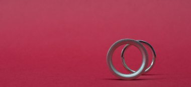 Alice Made This Silver White Gold Platinum Palladium Wedding Rings For Same Sex Couples Via The Gay Wedding Guide 6 380X174