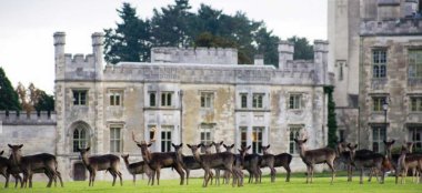 Ashridge House Berkhamsted Deer Castle Wedding Venue Hertfordshire Via The Gay Wedding Guide 9 380X174