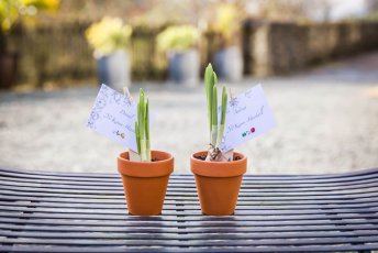 Bulb In Pot Favour By Tractor At Danny And Andy Real Gay Wedding Image Copyright Dk Ashton Photography Via Gay Wedding Guide 2 5 344X230