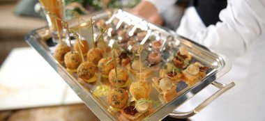 Canapes At Summer Lodge Award Winning Wedding Venue Dorset Gay Wedding Guide 9 380X174
