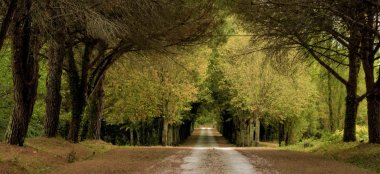 Chateau De La Valouze The Approach View Gay Destination Wedding South Of France 1 1 380X174