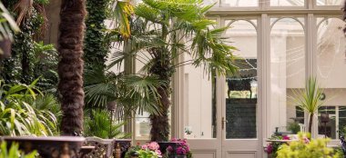Conservatory At Hampton Court House Country House Wedding Venue Surrey Gay Wedding Guide 9 380X174
