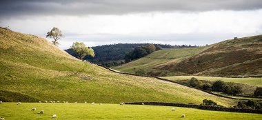 Countryside View At Telfit Farm Wedding Venue Yorkshire Gay Wedding Guide 9 380X174
