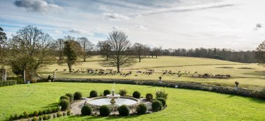 Deer Grazing At Parklands Gay Wedding Essex Venue The Gay Wedding Guide House 9 380X174