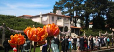 Garden Reception At Italian Villa Poole Wedding Venue In Dorset On The Gay Wedding Guide For Gay Dorset 9 380X174