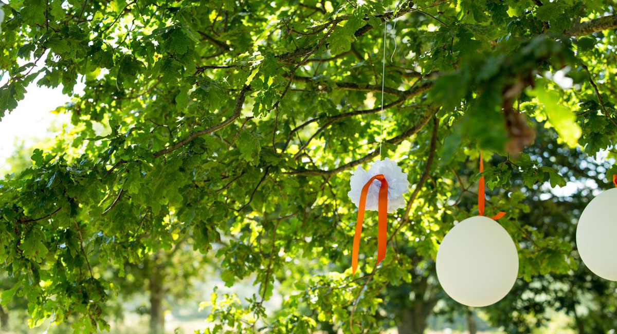 Hanging flowers and balloons for decor at the Lesbian Wedding of Isabelle and Susie copyright Jennifer Bedlow Photography via The Gay Wedding Guide 3 5
