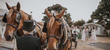 Horses At Outdoor Wedding Ceremony Bournemouth Hotel Miramar Gay Wedding Venue Guide 9 380X174