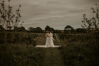 Img 0082 5 344X230