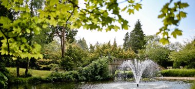 Lake Amongst The Trees At Pinewood Studios Wedding A Unique Wedding Venue In Berkshire 9 380X174