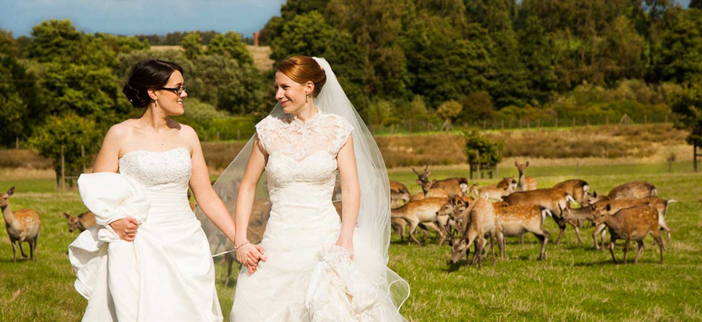 Lesbian Brides walk hand in hand through the deer park at Swinfen Hall Country House wedding venue Staffordshire via the Gay Wedding Guide 9