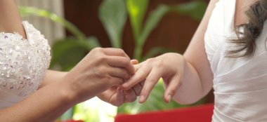 Lesbian Brides Being Married By Sophie Easton Wedding Celebrant True Promises Ceremonies Via The Gay Wedding Guide 6 380X174