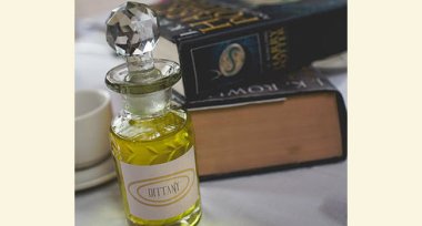 Potion At Harry Potter Theme Wedding At Michelle And Rachels Lesbian Wedding Shot By Ragdoll Photography Via The Gay Wedding Guide 3 5 380X204