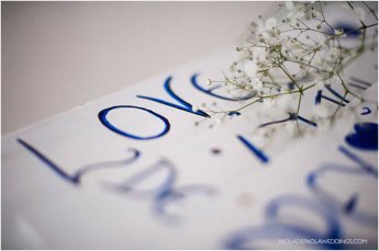 Real Gay Weddings Love For Alex And Audrey Lesbian Wedding Photographer Paola De Paola Copyright Paola De Paola 3 5 345X229