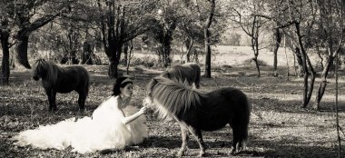 Shetland Ponies At Balmer Lawn Gay Wedding Venue Brockenhurst Via The Gay Wedding Guide 9 380X174