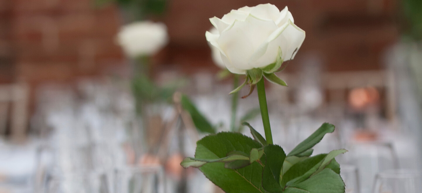 Single rose at Old Rectory wedding venue Worcester gay wedding guide image by Brookfields 9