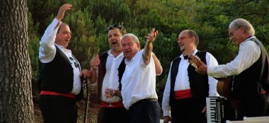 Traditional Music At Nick And Toms Real Gay Wedding Croatia Via The Gay Wedding Guide 1 5 380X174