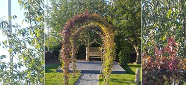 Garden And Bench At Diy Wedding Leicester Holiday Inn Leicester Gay Wedding Guide 9 380X174