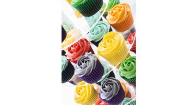 Rainbow Cupcakes Jen Jo Lesbian Wedding Photo Copyright Jennifer Langridge Wedding Photography For The Real Gay Wedding Guide 3 5 380X204