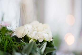White Flowers At Lesbian Destination Wedding Of Sara And Karen Photograph By Paola De Paola Photography 3 5 345X230