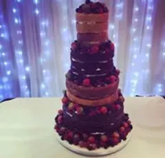 19029424 1903901279897472 69247381806043 Louise Barrie Cakes Sswg 240X230