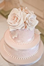 Daisy Cain Cake Design Surrey 034 Sswg 153X230