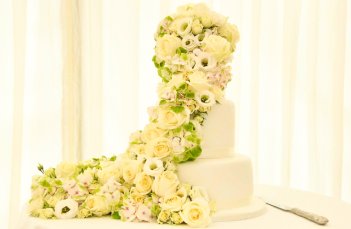Daisy Cain Cake Design Surrey 42 Sswg 351X229