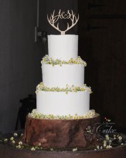 Image0000706Eace04 E297 0Db5 A1Bb F33020969C77 A Bonnie Wee Cake Sswg 184X229