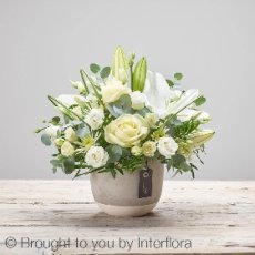 4 Get Well Soon 3 230X230