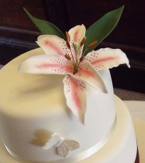 Dscf3863 2 204X230