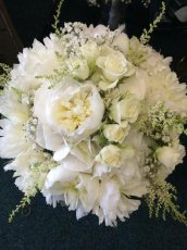 Image12 2 172X230