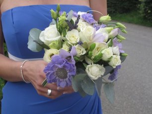 Img 0492 3 306X229