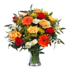 Occasion T03 3 230X230