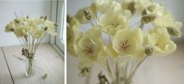 Pale Yellow Paper Tulips 2 380X174