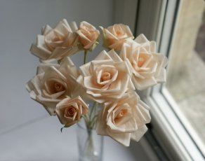 Peach Roses And Buds 2 292X230