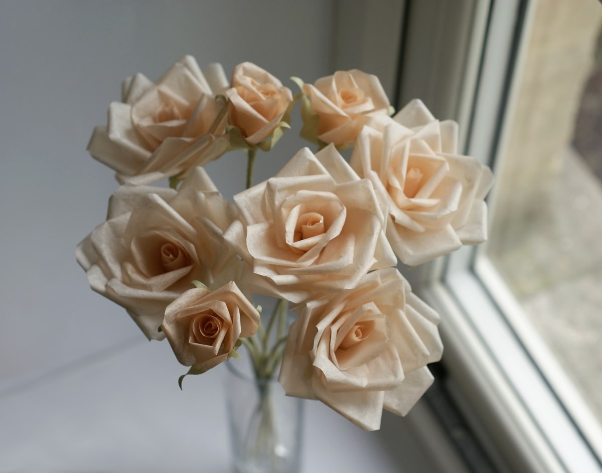 peach roses and buds 2