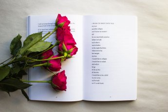 Thought Catalog Cow3 Hqmwp4 Unsplash 1536X1024 2 345X230