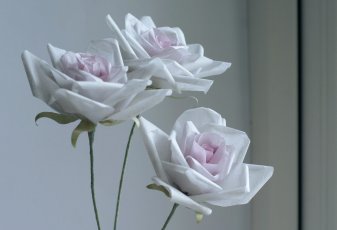Tissue Paper Roses 2048X1396 2 337X230