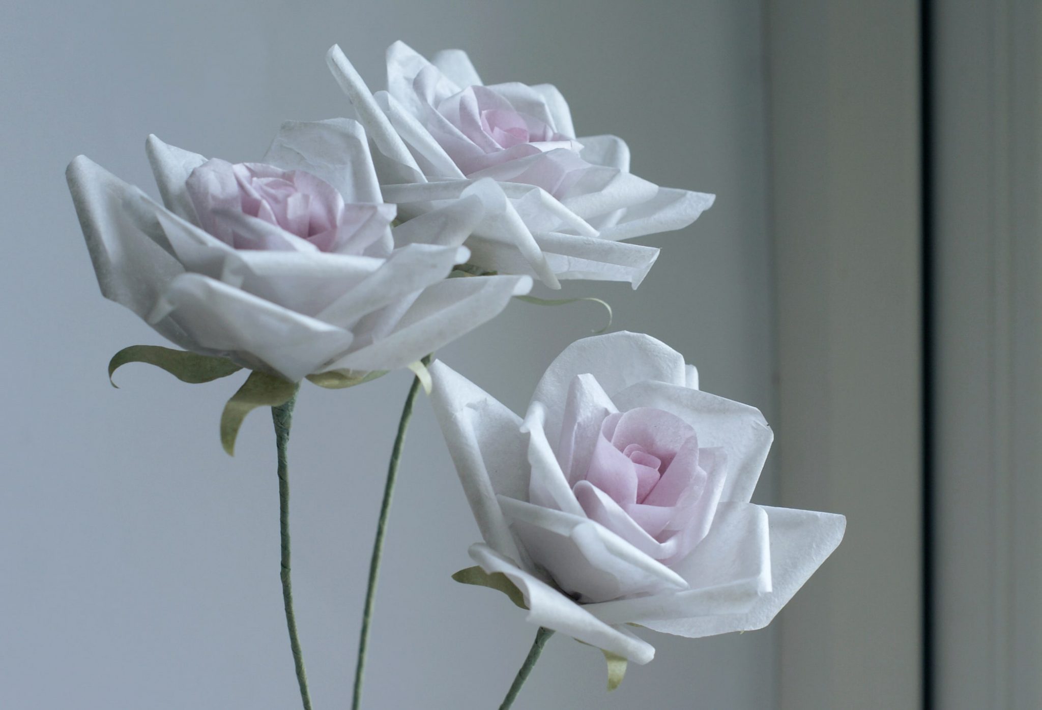 tissue paper roses 2048x1396 2
