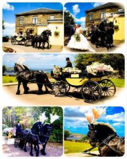 Horse And Carriage 184X230