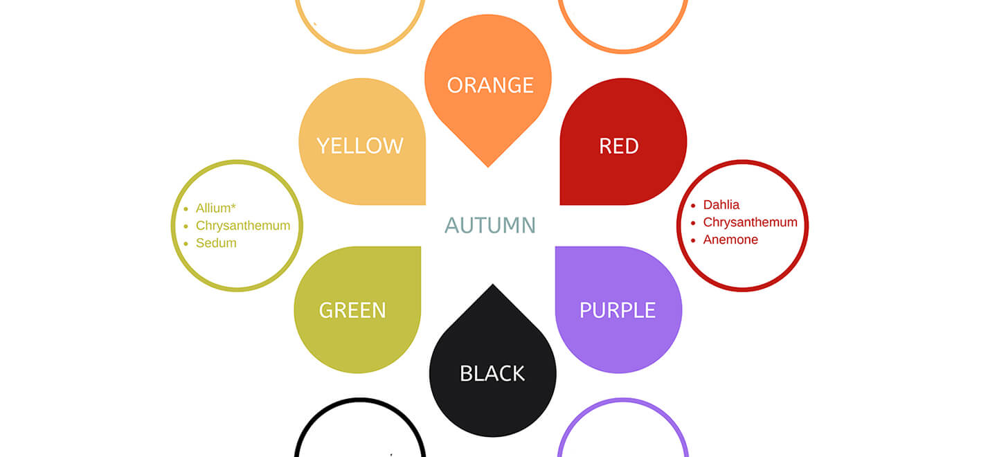 Autumn: Flowers By Season & Colour Infographic