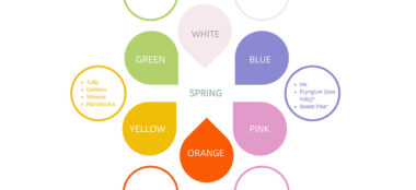 Spring: Flowers By Season And Colour Infographic