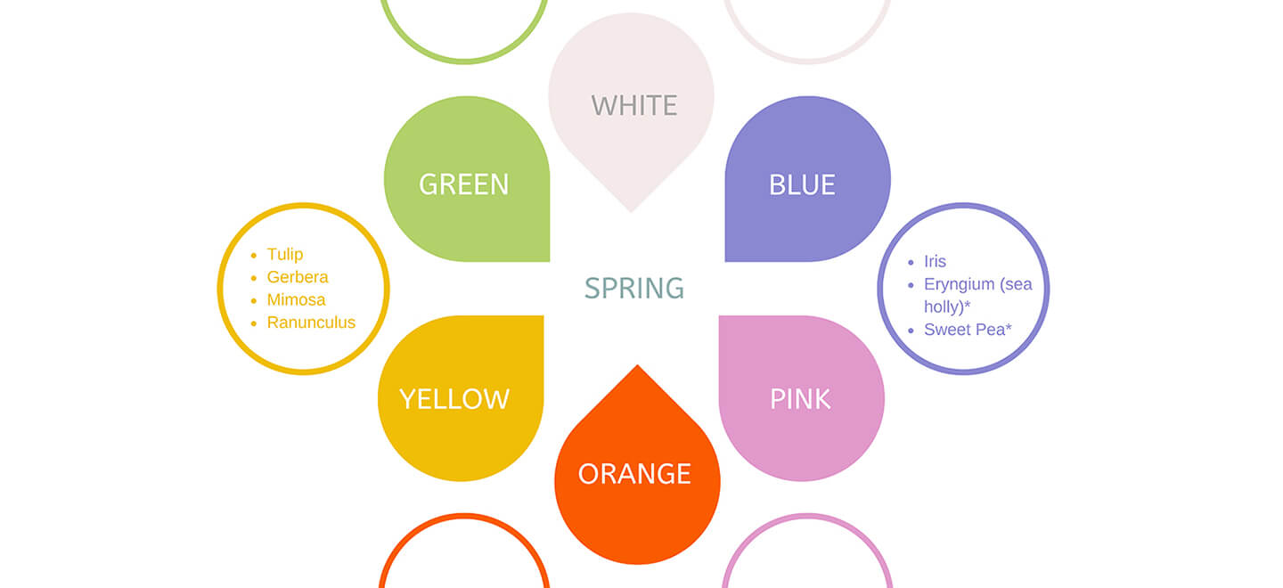 Spring: Flowers By Season And Colour Infographic
