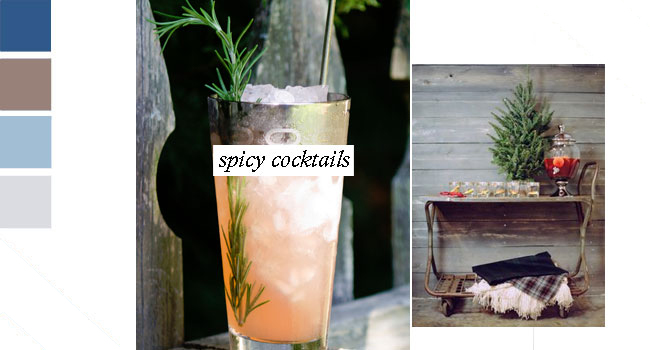 2 Winter Wedding Theme Spicy Cocktails Via The Gay Wedding Guide 2 - Winter Wedding Theme: Glacial Gem 2-Winter-Wedding-Theme-Spicy-Cocktails-Via-The-Gay-Wedding-Guide