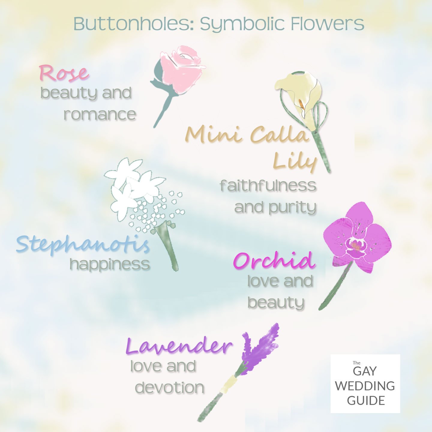 Wedding Buttonholes Infographic: The Meaning Of Flowers