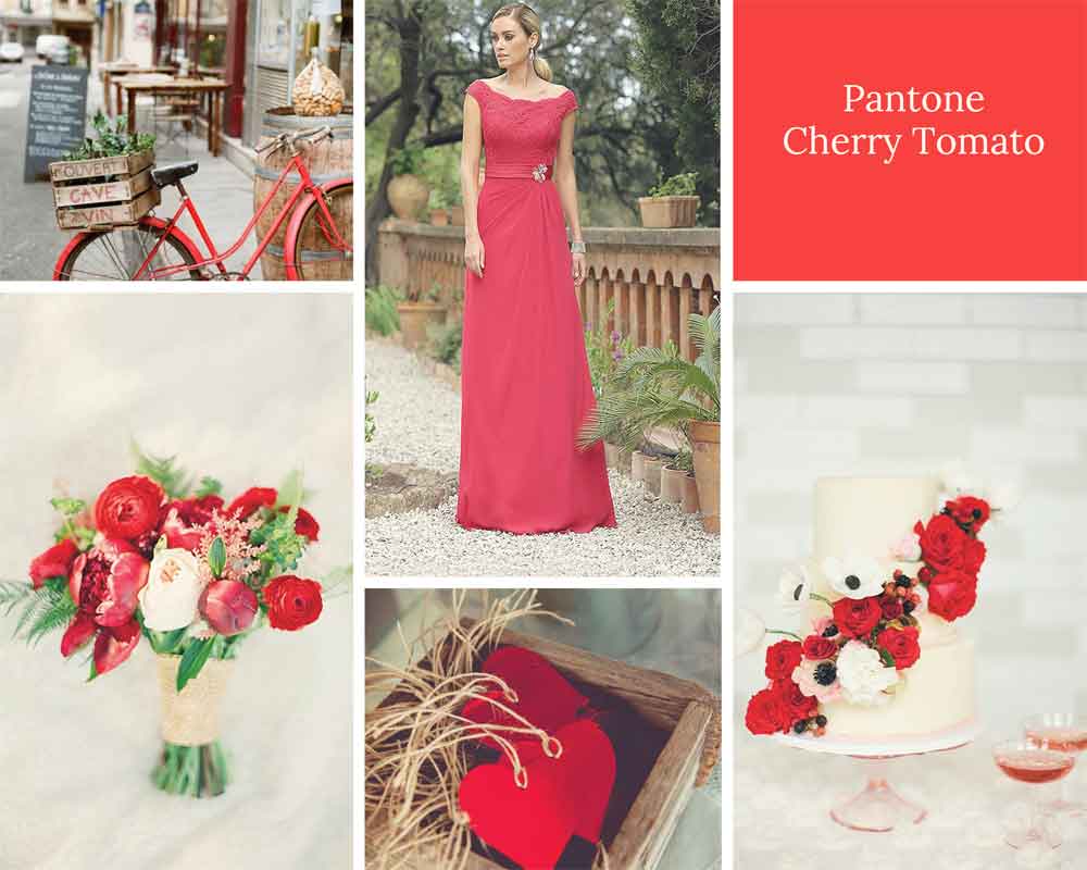 Cherry Tomato Red Wedding Theme Ideas Pantone 2018 Gay Wedding Guide 2 - Wedding Colour Schemes 2020 Cherry Tomato Red Wedding Theme Ideas Pantone 2018 Gay Wedding Guide 2 - Wedding Colour Schemes 2020 Gay Wedding Guide