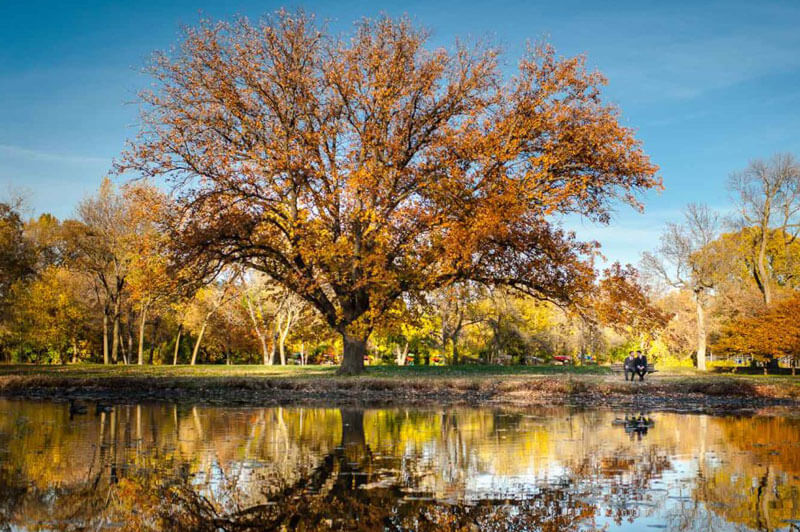 Greg And William By Autumn Lake Reflection Best Gay Wedding Photos Autumn Image By Queens Hearts Photography 2 - Best Gay Wedding Photos By Season: Autumn Greg And William By Autumn Lake Reflection Best Gay Wedding Photos Autumn Image By Queens Hearts Photography 2 - Best Gay Wedding Photos By Season: Autumn Gay Wedding Guide