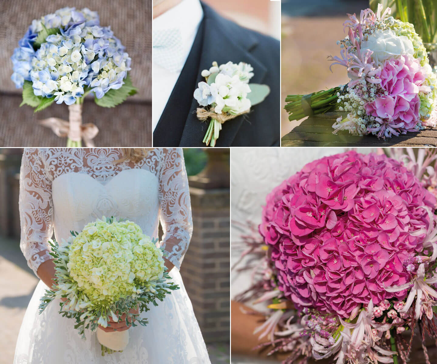 Hydrangea Buttonholes And Bouquets Hydrangea Wedding Ideas Via Pinterest Gay Wedding Guide 2 - 13+ Outside The Box Garden Wedding Ideas Hydrangea Buttonholes And Bouquets Hydrangea Wedding Ideas Via Pinterest Gay Wedding Guide 2 - 13+ Outside The Box Garden Wedding Ideas Gay Wedding Guide